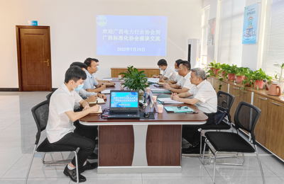 廣西電力行業(yè)協(xié)會赴廣西標(biāo)準(zhǔn)化協(xié)會開展技術(shù)咨詢與交流合作